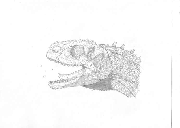 Rajasaurus by Smnt2000