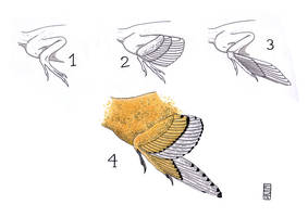 Restore Folded DinoWings