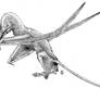 Rhamphorhynchus - Conway