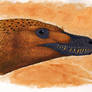Velociraptor Head - Unfinished