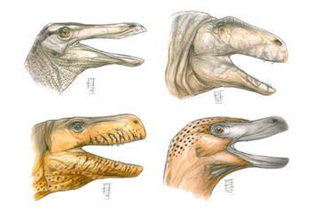 Theropod Head Panoply