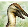 Hollow Form_A Coelophysis Portrait