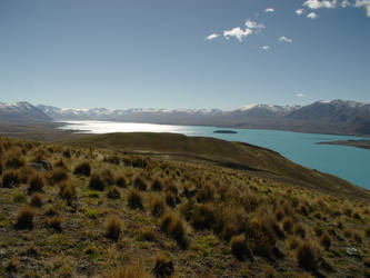 Lake Tekapo