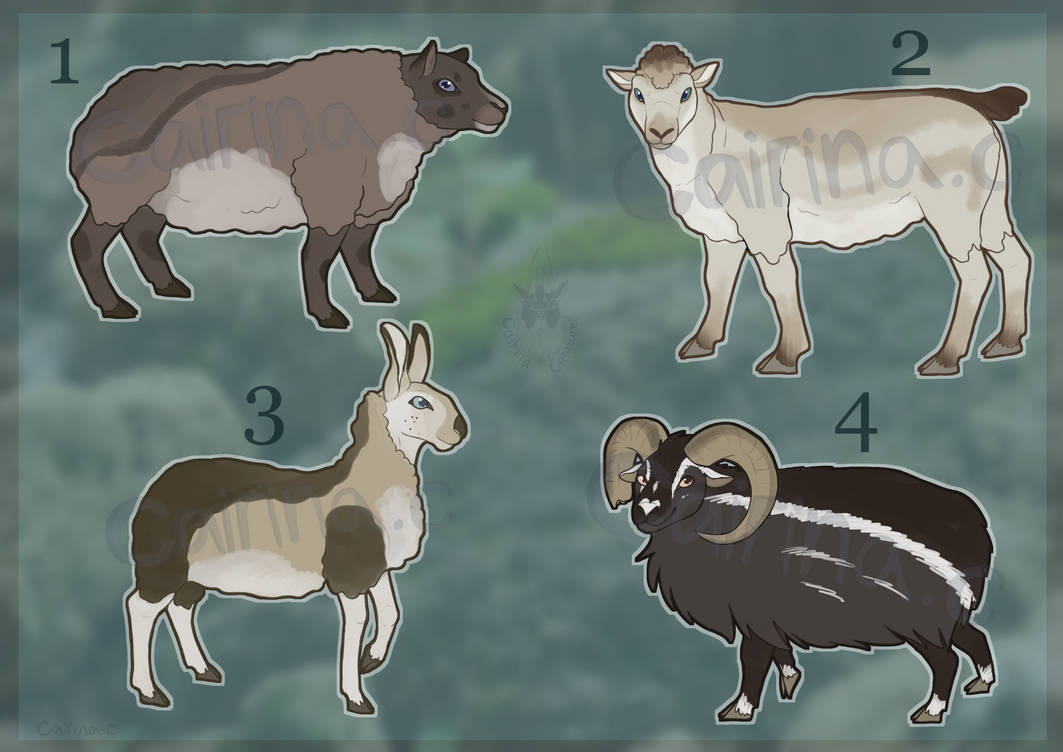 Deviantart Characters Sheep Sheep Adopts (3/4 Open) by CairinaAdoptables on DeviantArt