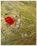 -- autumn left a rose -- by okashi-met-charly