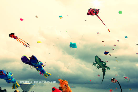 kite at the sky