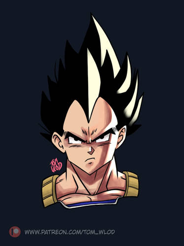 Vegeta fanart.