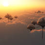 Over the Clouds with Eco-Domes