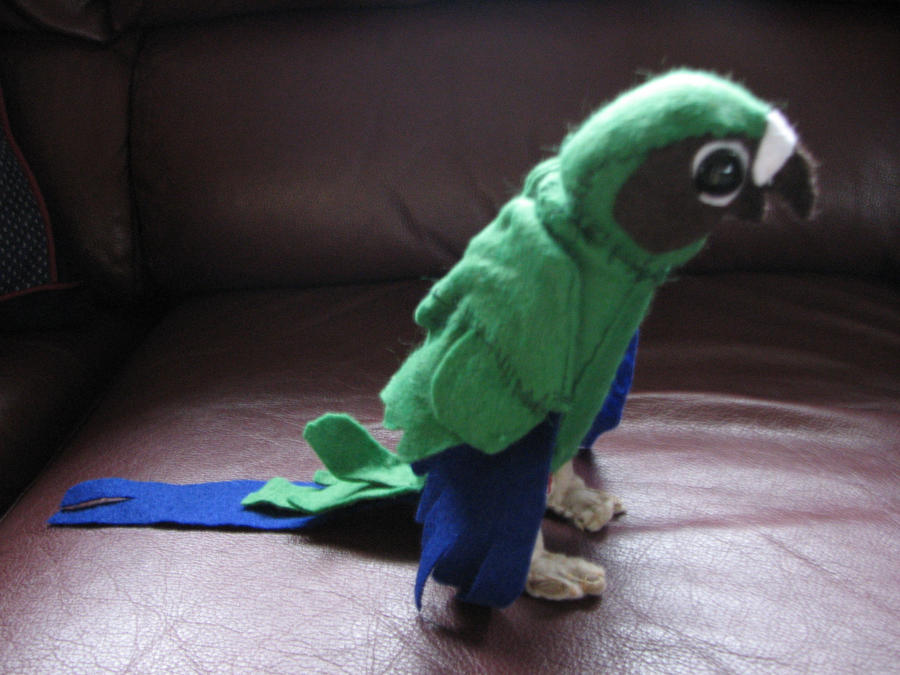 Nanday Parrot