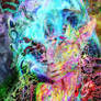 Divinite_de_la_creation