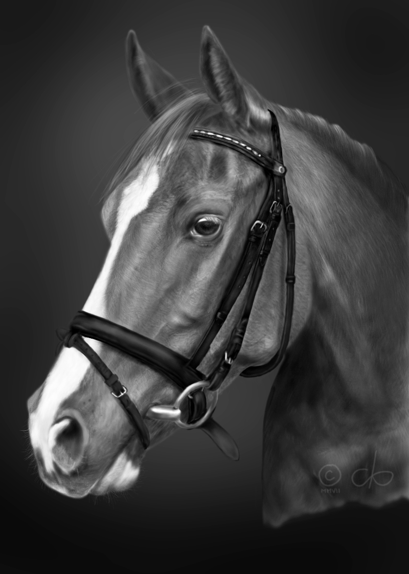 Khalifan digital horse bw