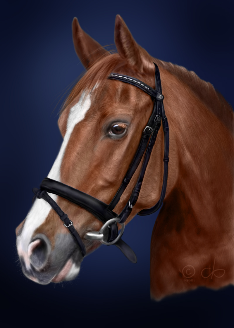 Khalifan digital horse color