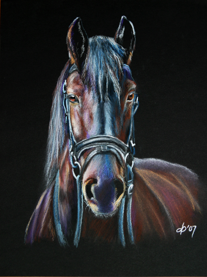 Friesian horse pastel