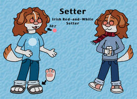 Setter Reference
