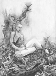 The Olive Tree by zancan