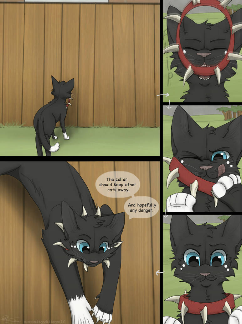 Коты Воители Raven и Scourge