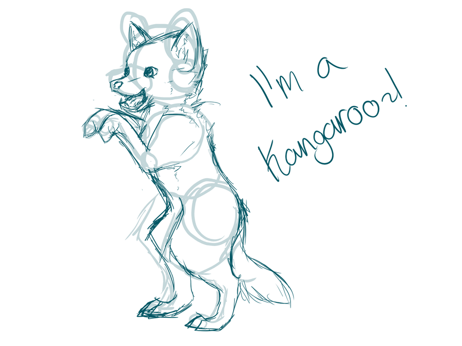 Doodle - I'm A Kangaroo