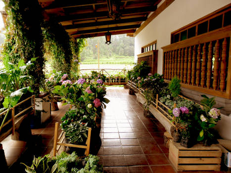 Flores en la Hacienda