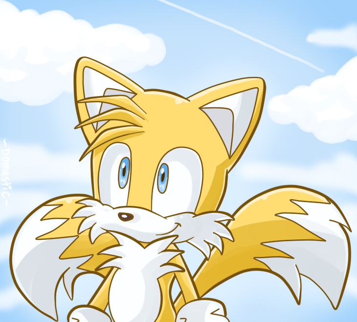 Tails at the sky