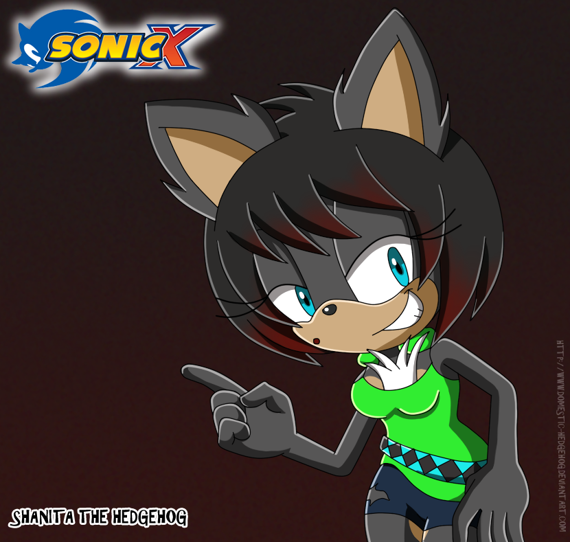 PC Shanita in Sonic X