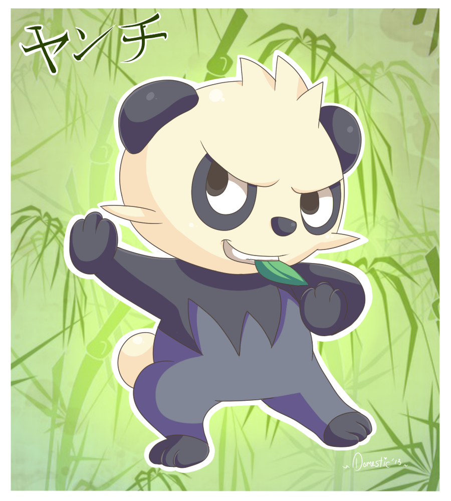 Pancham the fighting panda