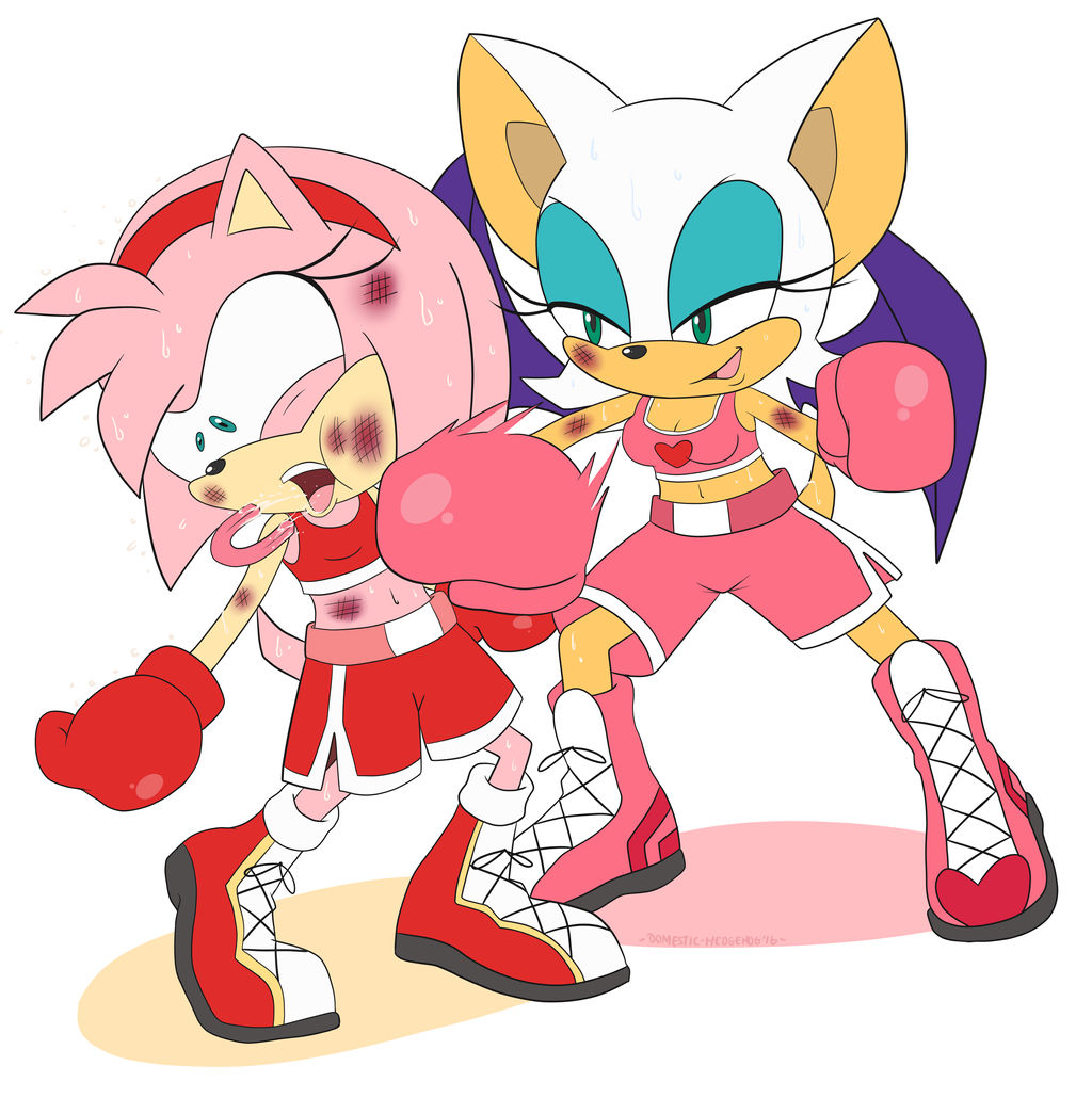 Valecity Commission Amy vs Rouge by DomesticMaid on DeviantArt