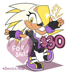 Porcupine Adoptable (SOLD)
