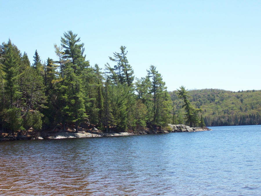 Algonquin 2