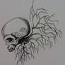Skull Roots