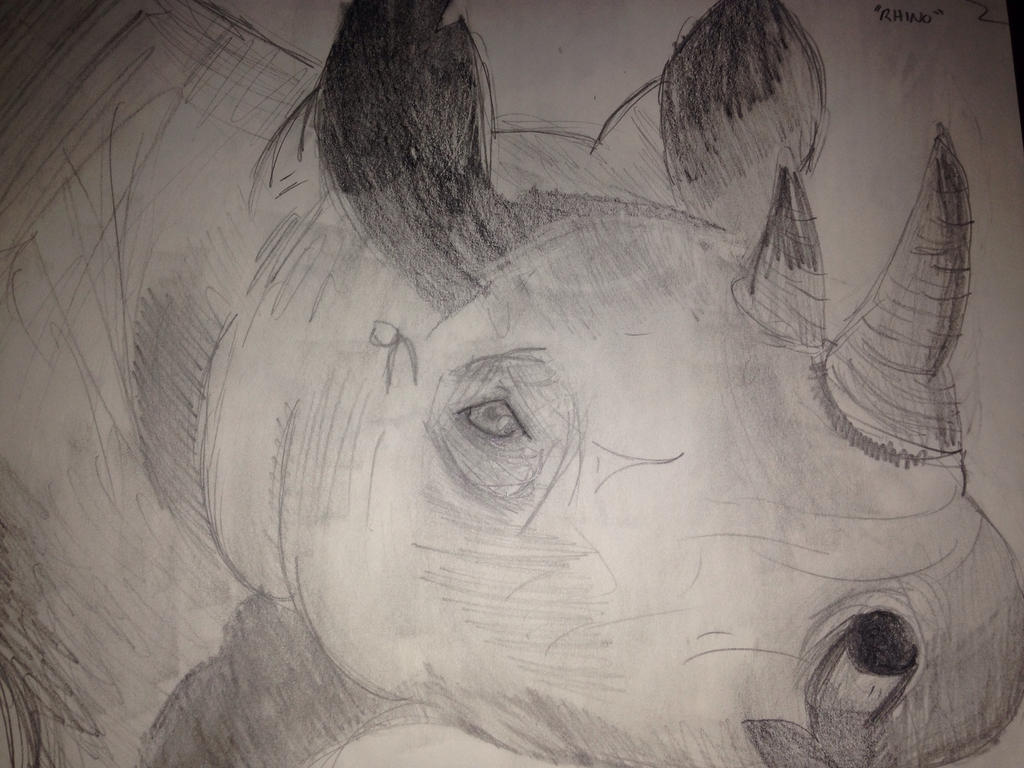 Rhino by unicornsarereal5 on DeviantArt