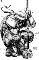 Donatello by johnnymorbius