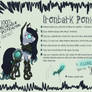 Ironbark Ponies - Reference Sheet