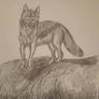 Wolf traditionally