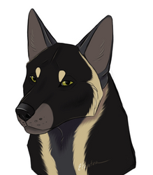 (animated ych) for fenrirhound