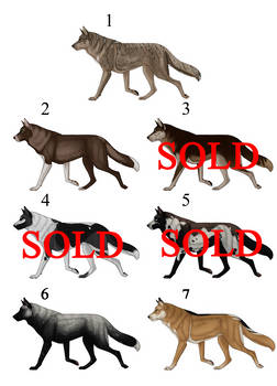 Canine Adopts (3 still open)
