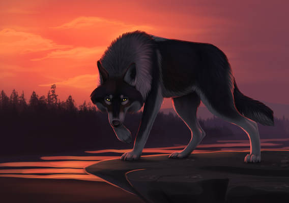 Wolf guard (com)