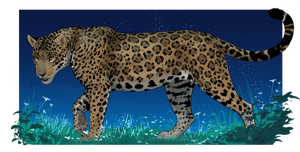 Jaguar (lineart)