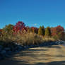 Fall At The Beach