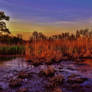 Fort Smallwood Marsh Evening Scene 2018