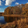 Wood Duck Pond