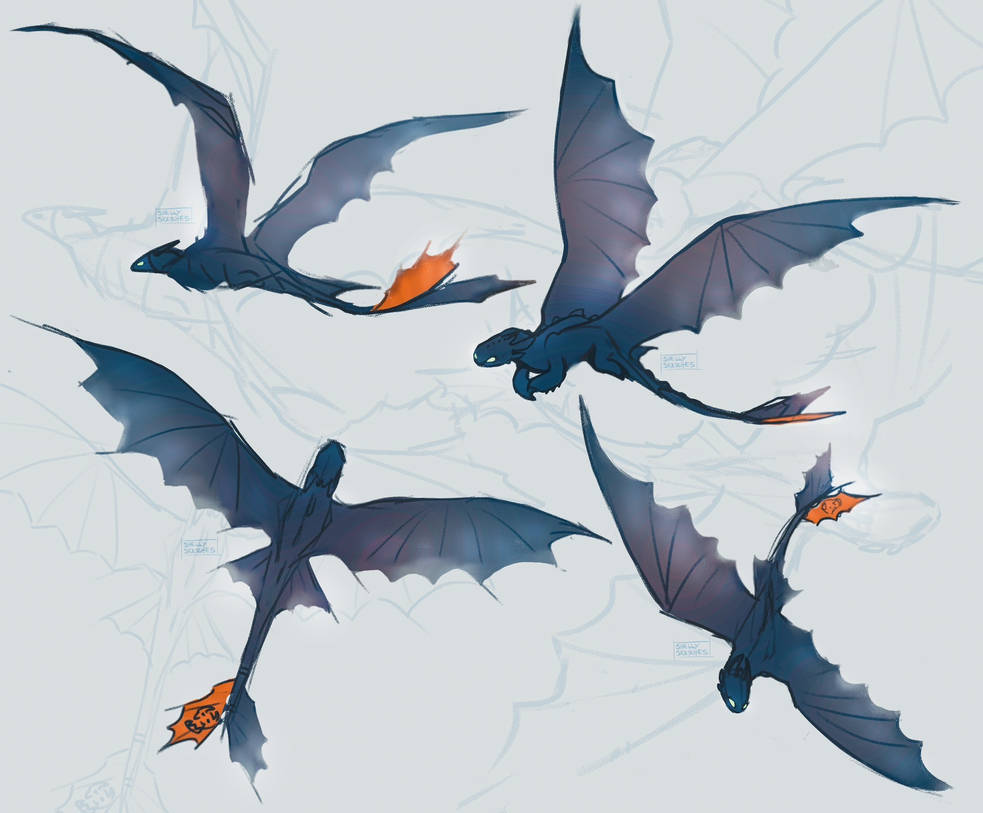 Toothless sketches by shellysketchess on DeviantArt