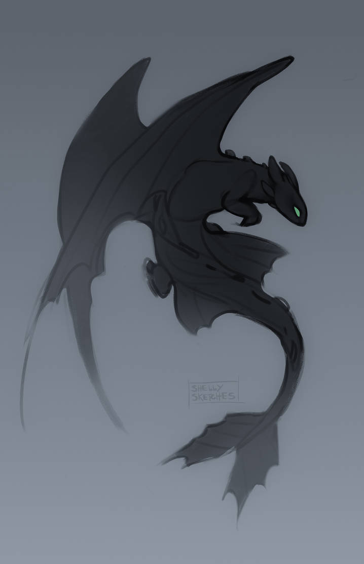 Toothless sketch by shellysketchess on DeviantArt