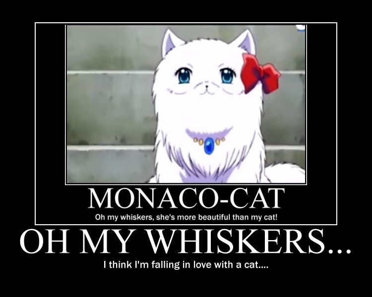 [APH] Monaco Cat