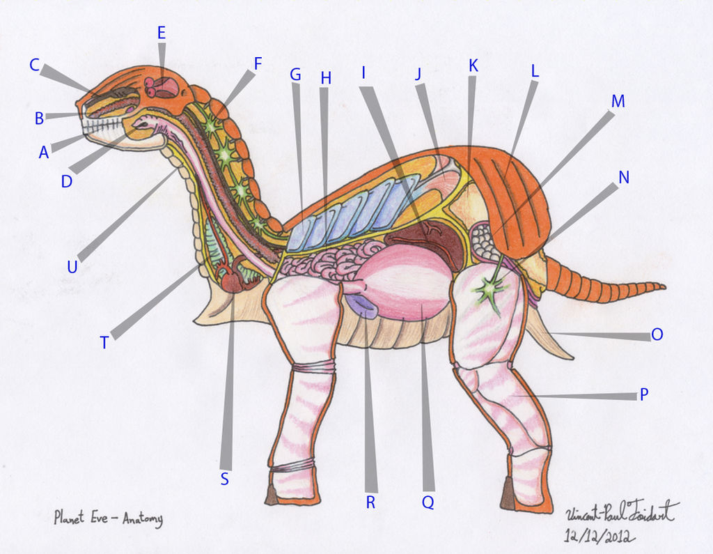 Planet Eve - Anatomy by Tapejara