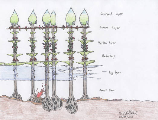 Lyell-3 - Forest Layers