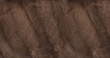 Fur Texture Stock