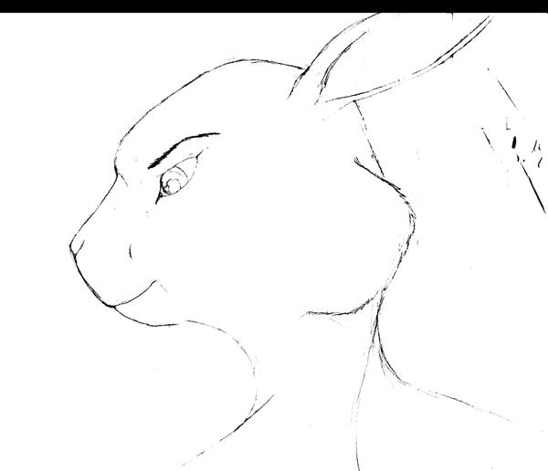 Anthro Rabbit Drawing Reference Bunny anthro profile sketch by miaka69usa on DeviantArt