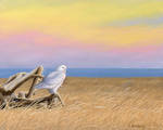 Sunset Snowy Owl by xfkirsten