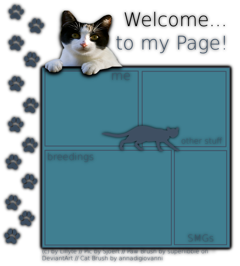 Cat Layout by LillyteGraphix on DeviantArt