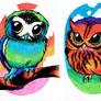 Rainbow Owls